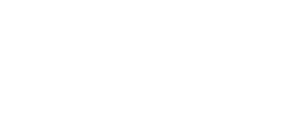 Digi.AI